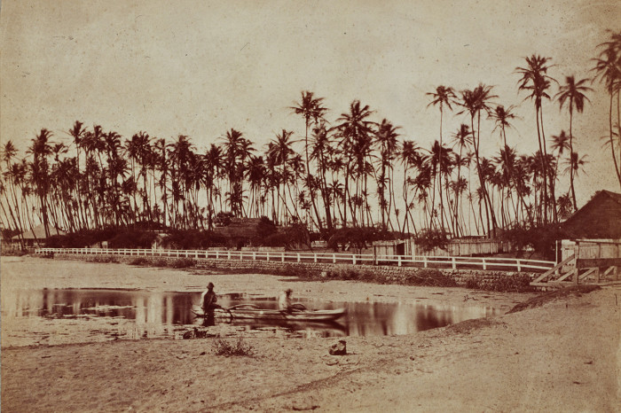 Почему 200 лет назад Россия упустила шанс присоединить к своей территории Гавайи