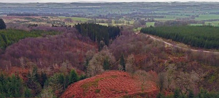 В Шотландии найдено тайное убежище, где герой Гибсона из «Храброго сердца» прятался 700 лет назад