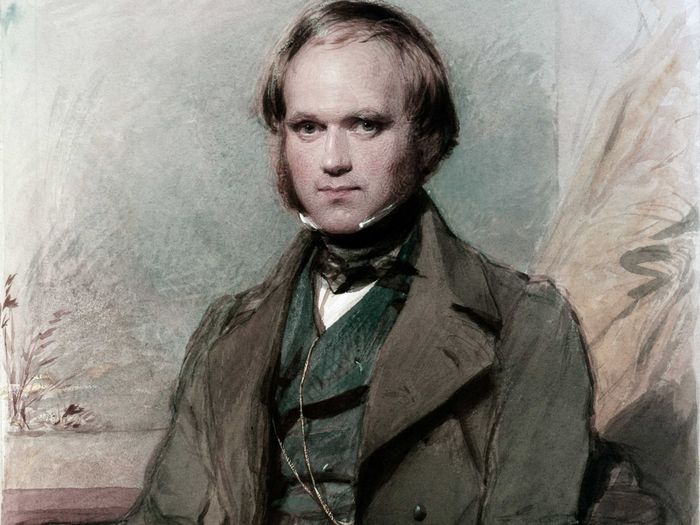 Натуралист, основоположник эволюционного учения Чарльз Дарвин (1809–1882): биография кратко, годы жизни, деятельность