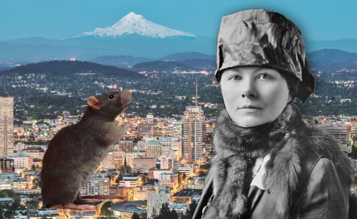 Пять центов за крысу, или Как одна хрупкая женщина спасла весь Портленд от чумы