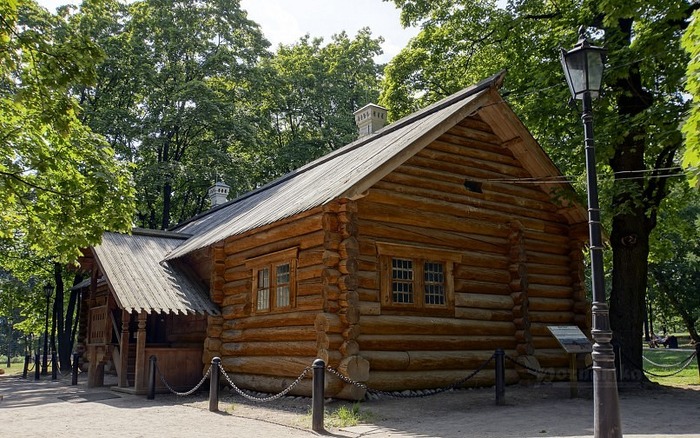 Краткий курс истории. Великое посольство