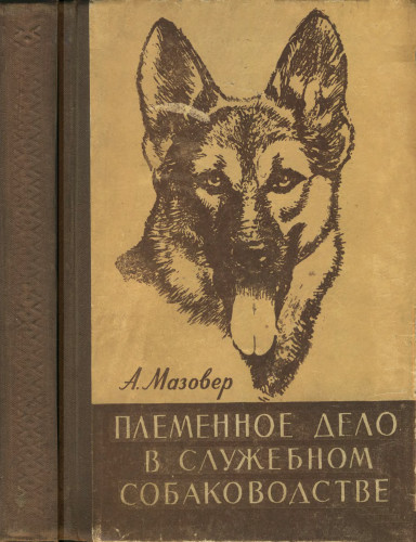 Легенды парада Победы: Джульбарс
