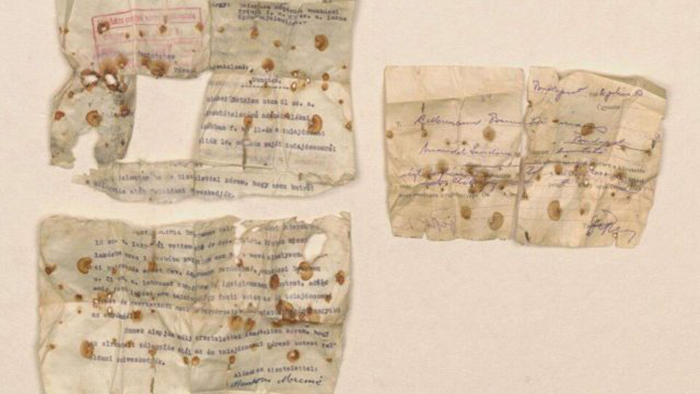 Что содержало послание, которое обнаружили в детском ботинке из Освенцима