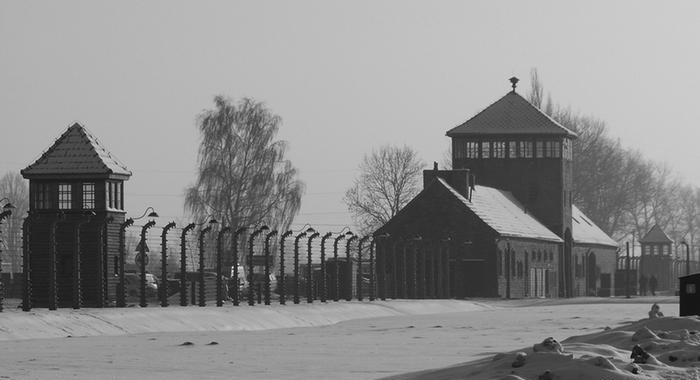 Что содержало послание, которое обнаружили в детском ботинке из Освенцима