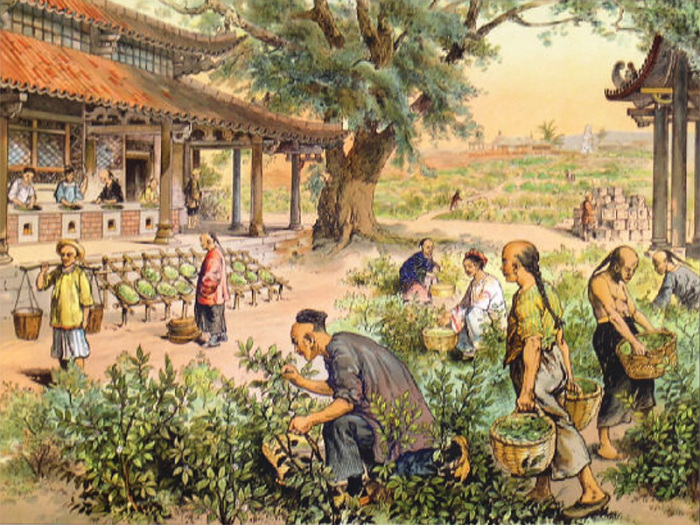 Как китайская традиция чаепития стала русской, и Какие изменения претерпела
