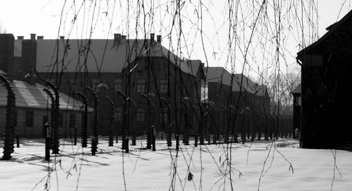 Что содержало послание, которое обнаружили в детском ботинке из Освенцима