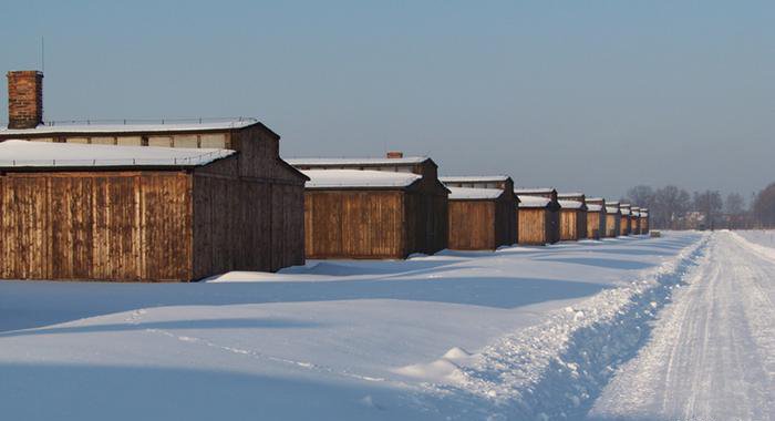 Что содержало послание, которое обнаружили в детском ботинке из Освенцима