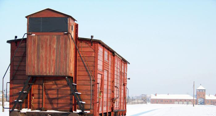 Что содержало послание, которое обнаружили в детском ботинке из Освенцима