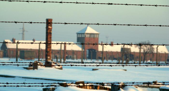 Что содержало послание, которое обнаружили в детском ботинке из Освенцима