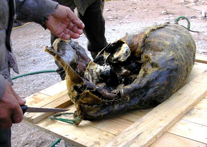 Какие деликатесы ели на Руси, и Почему сегодня это вряд ли кто-то решился бы попробовать