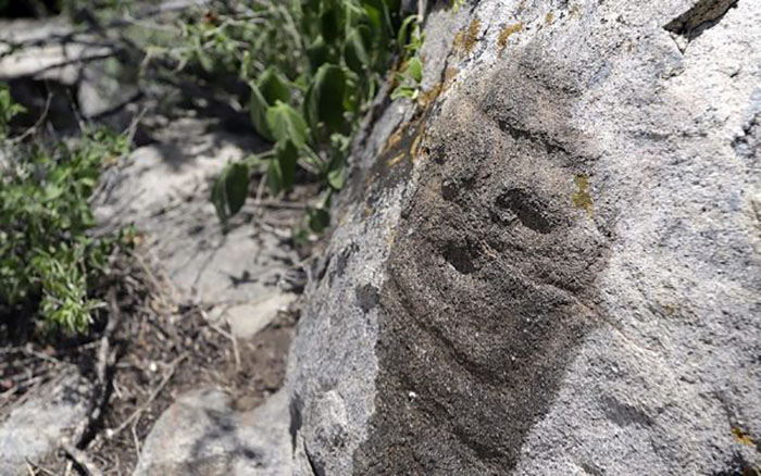 Как жили древние сапотеки и другие тайны «облачных людей», которые открыли археологи на вершине горы в Мексике