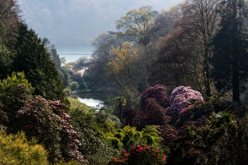 Секретные миры: 7 таинственных британских садов