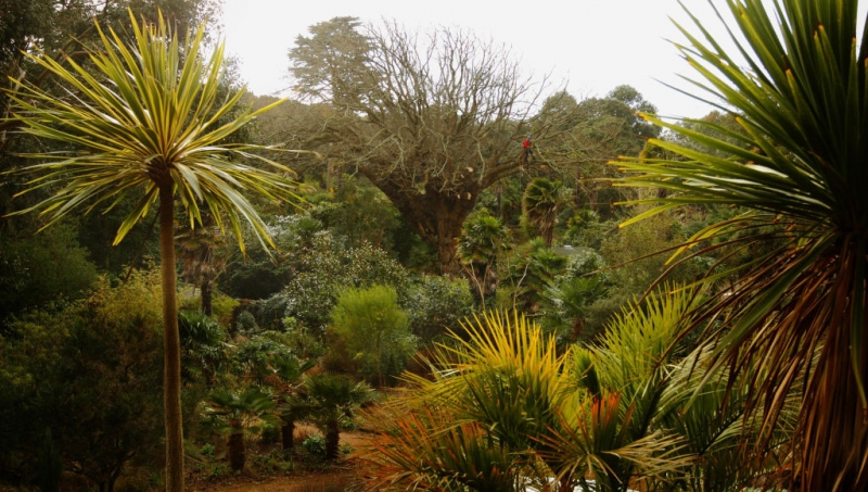 Секретные миры: 7 таинственных британских садов