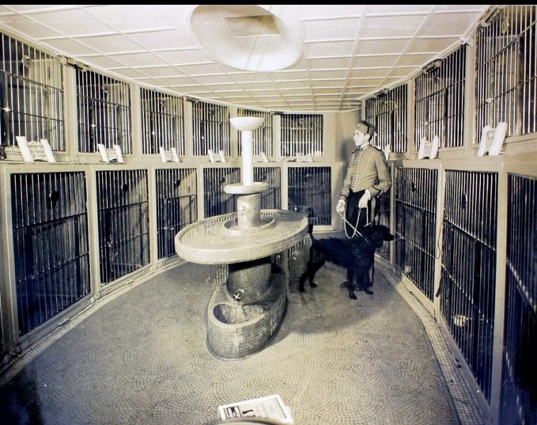 Владимир Юркевич – русский творец «морской гордости Франции». Часть третья