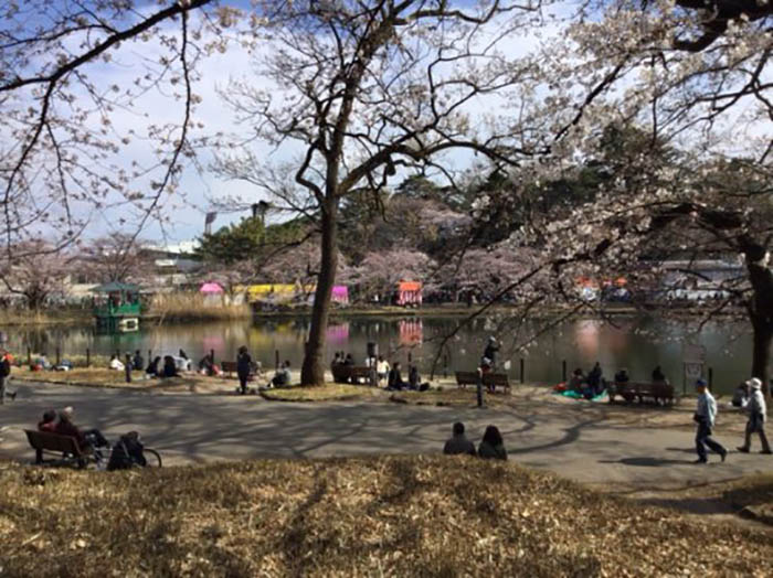 Какие тайны открыл учёным 600-летний самурайский кувшин с монетами, найденный в Японии