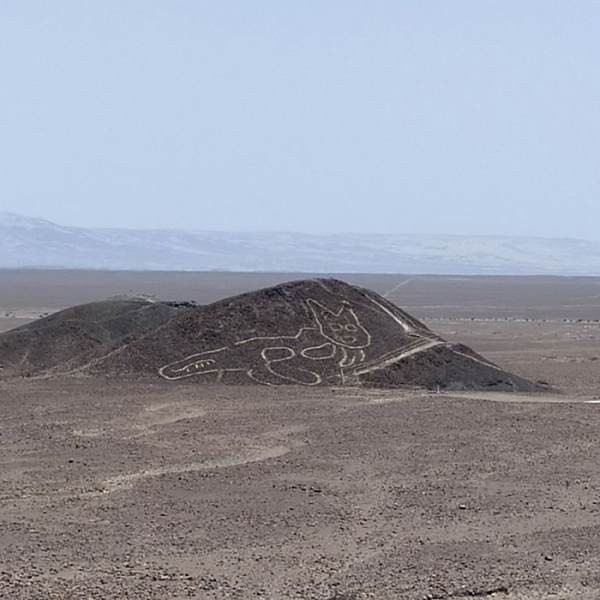 О чём поведал учёным 2000-летний таинственный геоглиф в форме кошки