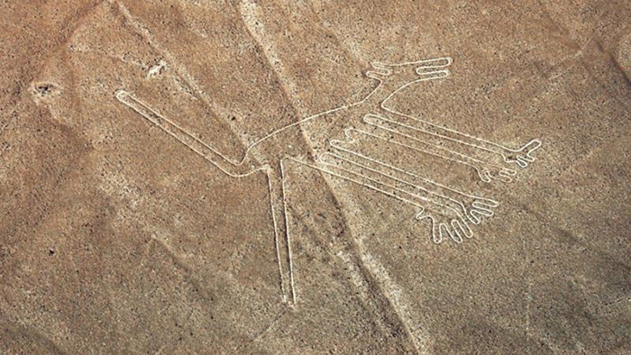 О чём поведал учёным 2000-летний таинственный геоглиф в форме кошки