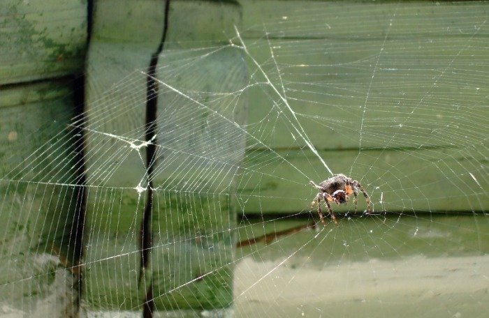 Как толковали сны на Руси, и За какие сновидения можно было получить реальное наказалие