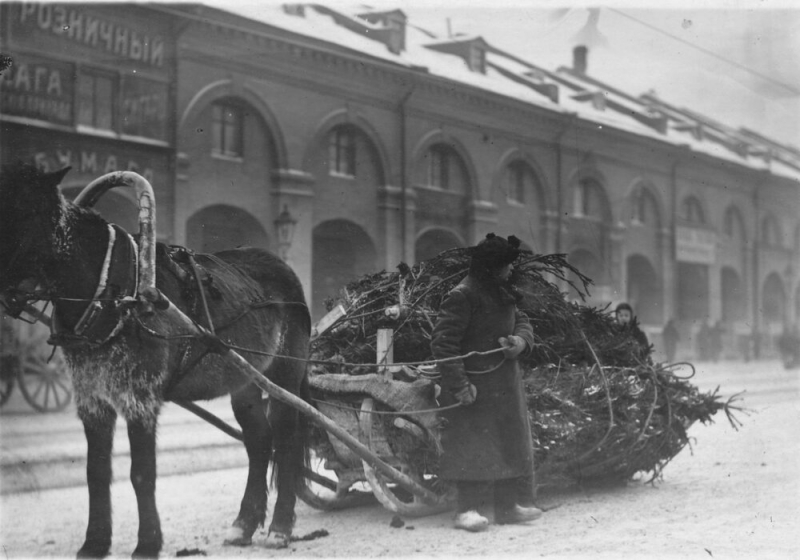 История русской елки. Начало