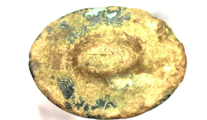 Грибник нашёл бесценный артефакт бронзового века: О чём рассказал учёным чешский Экскалибур