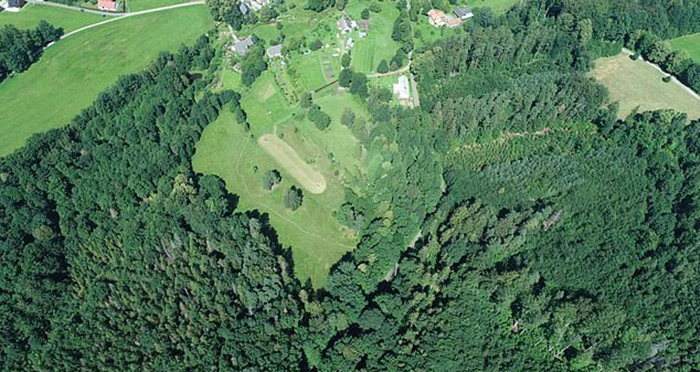 Грибник нашёл бесценный артефакт бронзового века: О чём рассказал учёным чешский Экскалибур