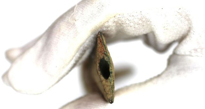 Грибник нашёл бесценный артефакт бронзового века: О чём рассказал учёным чешский Экскалибур