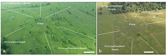 Какие тайны древних народов Амазонки раскрыли археологам космические деревни