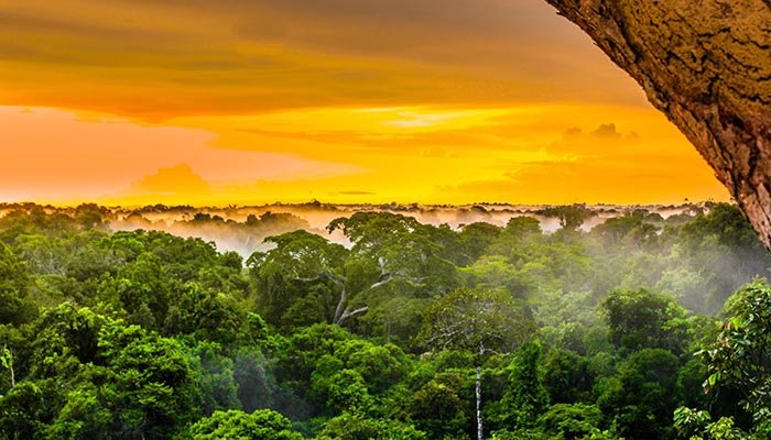 Какие тайны древних народов Амазонки раскрыли археологам космические деревни