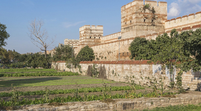 Какие тайны хранят 8 легендарных древних библиотек: Интересные факты о мировых кладовых мудрости