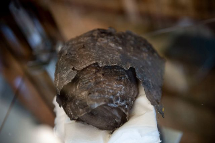 Какие секреты узнали учёные из древних свитков Геркуланума, и Как это открытие может изменить мир