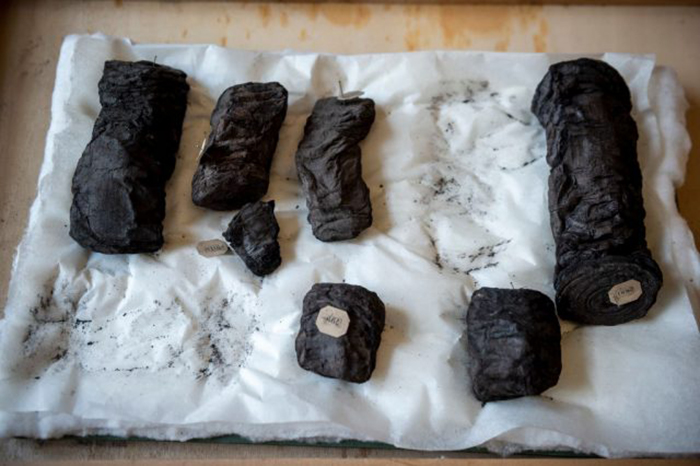 Какие секреты узнали учёные из древних свитков Геркуланума, и Как это открытие может изменить мир