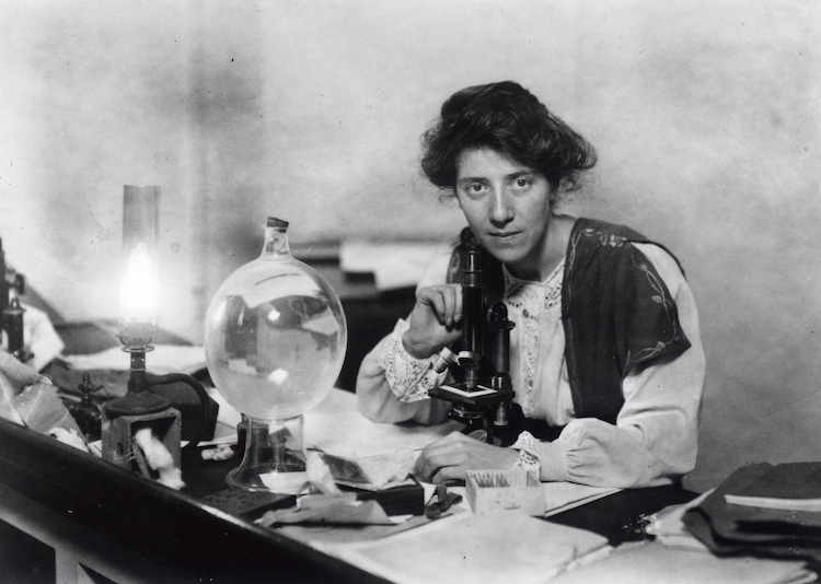 Married Love: The Controversial Legacy of Marie Stopes