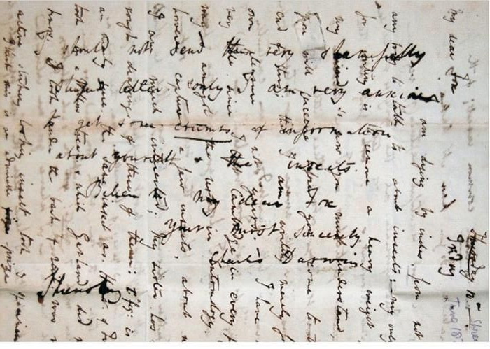 Кто и зачем писал письма &laquo;вдоль и поперек&raquo;, и Почему они нарушали нормы этикета