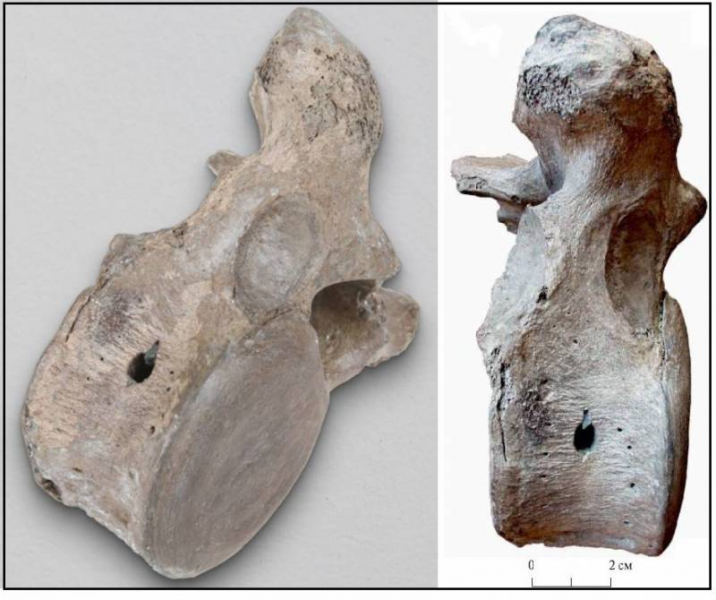 Штурмуя Высокие Широты. Освоение первобытным человеком Арктики и Субарктики