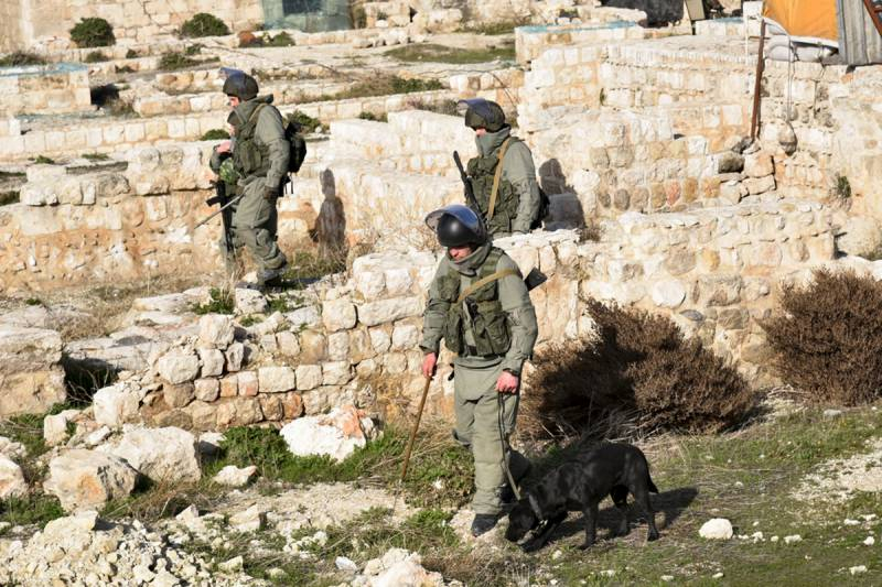 Самая известная крыса-сапёр в истории