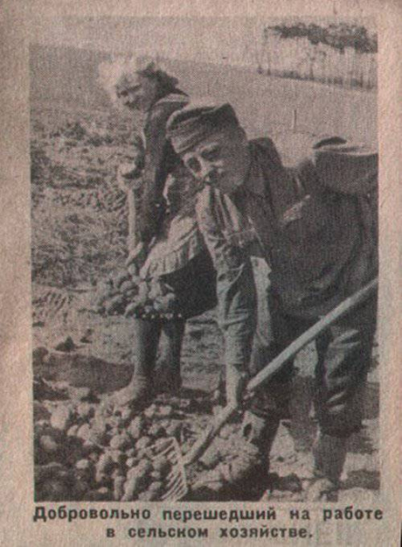 В чем была главная ошибка доктора Геббельса