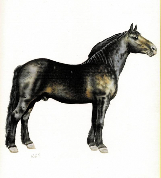 Доспехи для рыцарского коня и для его хозяина&hellip;