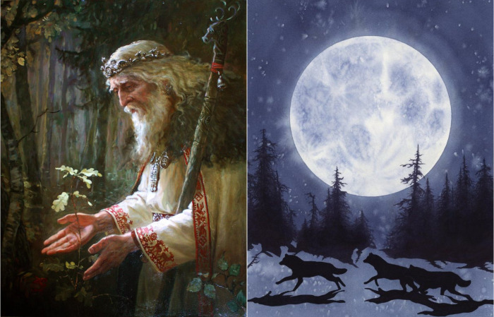 Знахари собирали целебные травы в полнолуние. Знахари собирали целебные травы в полнолуние.