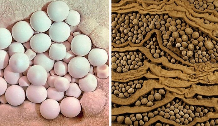 Спелеологами был найден необычный пещерный жемчуг, правда перламутрового блеска он не имеет, как морской. Спелеологами был найден необычный пещерный жемчуг, правда перламутрового блеска он не имеет, как морской.