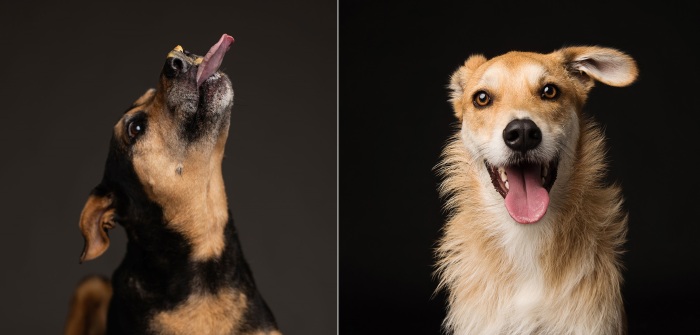 Шедевральные портреты. Шедевральные портреты.