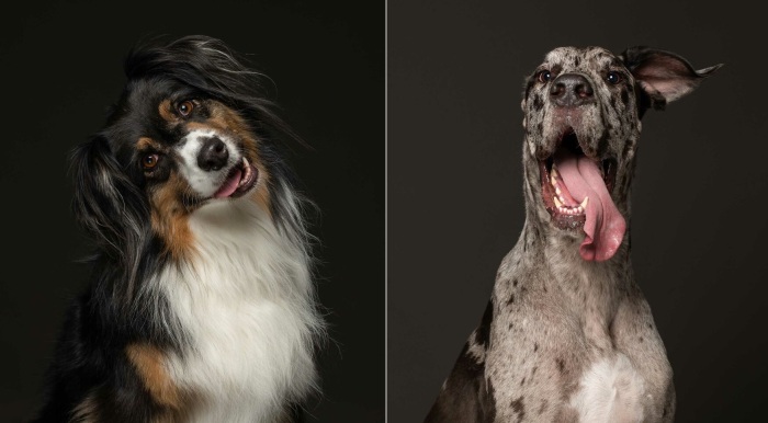 Невероятные кадры. Невероятные кадры.