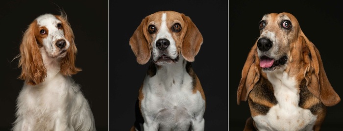 Только взгляните в эти глаза. Только взгляните в эти глаза.