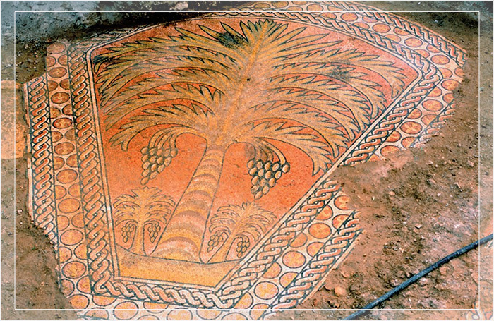 1000-летняя мозаика в руинах мечети на дороге из Иерусалима в Вифлеем. Первоначально византийская церковь была отмечена одинокой пальмой. 1000-летняя мозаика в руинах мечети на дороге из Иерусалима в Вифлеем. Первоначально византийская церковь была отмечена одинокой пальмой.