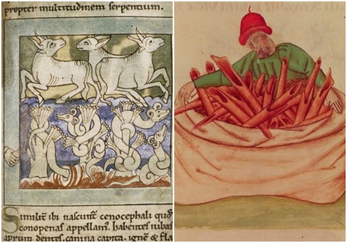 Слева направо: Змеи обвиваются вокруг перечных деревьев иллюстрация из Чудес Востока, 1130 год. Продавец корицы 1400-х годов.