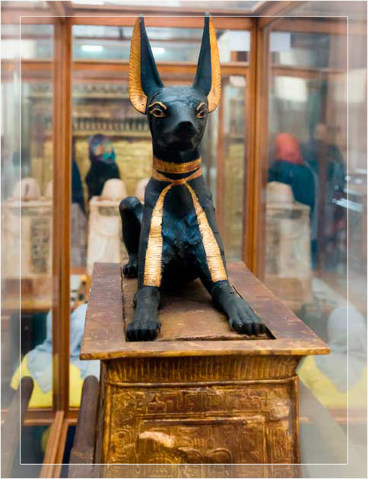 Статуя Анубиса охраняла вход в гробницу Тутанхамона. Статуя Анубиса охраняла вход в гробницу Тутанхамона.