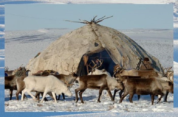 Жизнь на Чукотке сурова, но интересна, как и сам местный народ. Жизнь на Чукотке сурова, но интересна, как и сам местный народ.