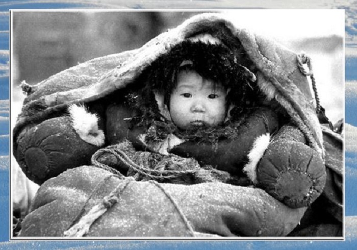 Вместо памперсов в кочевых племенах часто используют мох. Вместо памперсов в кочевых племенах часто используют мох.