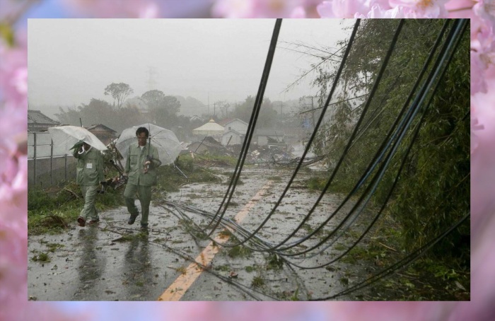 Некоторые тайфуны и землетрясения в Японии уносили человеческие жизни.