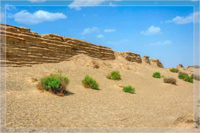 Исследования растительного материала Великой Китайской стены раскрывают информацию о древних оазисах и климатических изменениях. Пустыня Гоби, Китай.