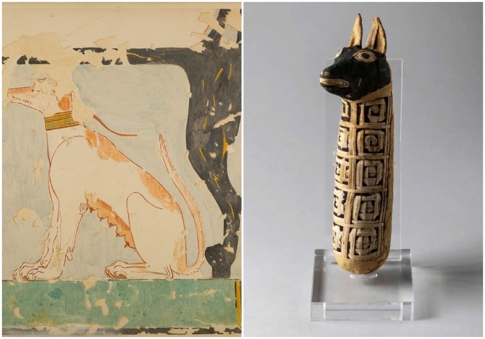 Слева направо: Факсимиле картины в гробнице Небамона, изображающей собаку, сидящую под креслом своего владельца, около 1479-1458 годов до н.э. Египетская собачья мумия, 30-395 годы н.э.